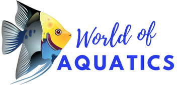 World of Aquatics